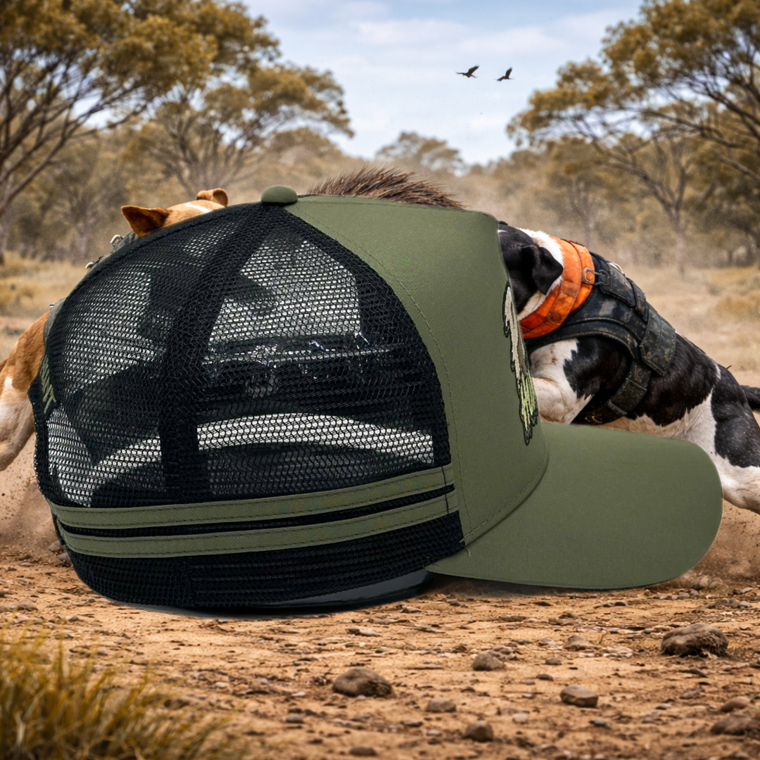 PIG HUNTING TARGET
